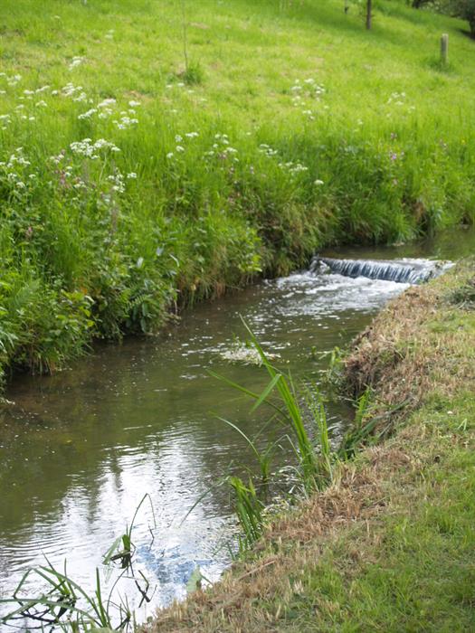 Online Land Management Course